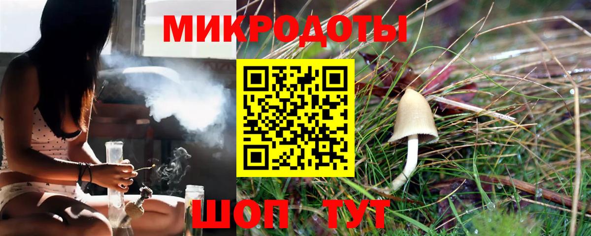 Галлюциногенные грибы Psilocybe  Вход с VPN  Галлюциногенные грибы мицелий  Донской 